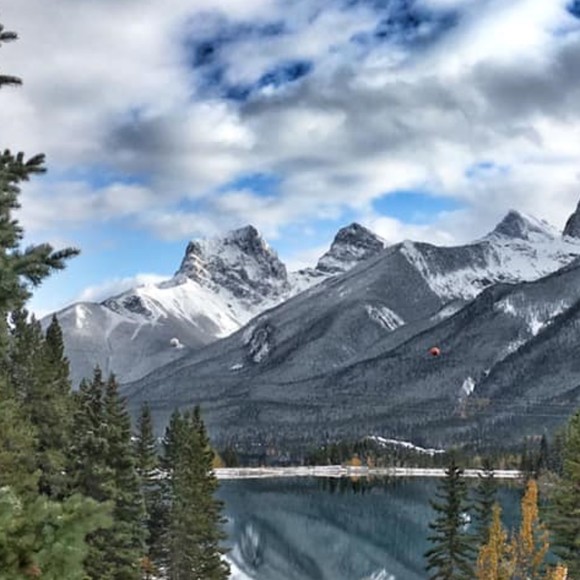 Meet your Posher, Amanda - Picture 1 of 1